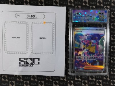 SN34091
