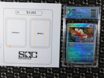 SN34162