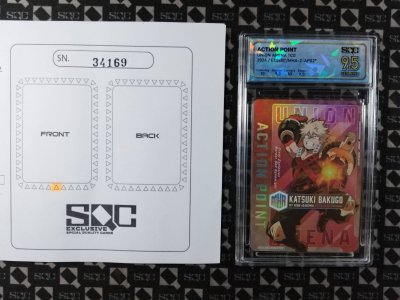 SN34169