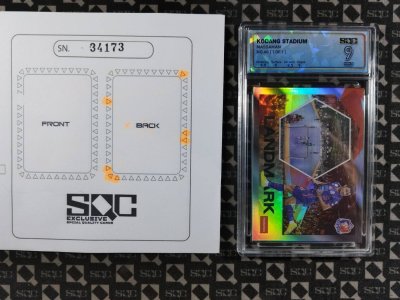 SN34173