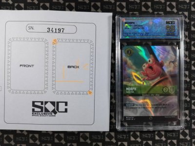 SN34197