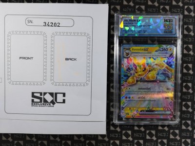 SN34202