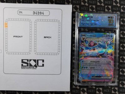 SN34204