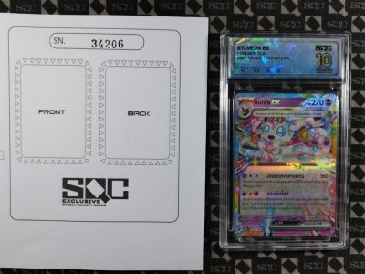 SN34206