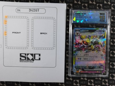 SN34207