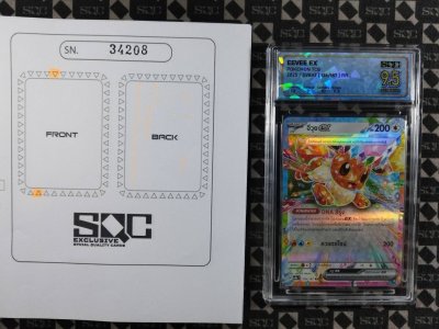 SN34208