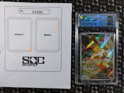 SN34231