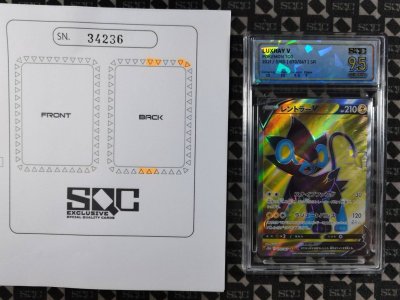 SN34236