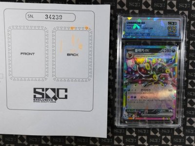 SN34239