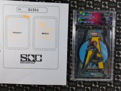 SN34254