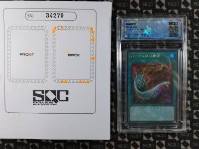 SN34270