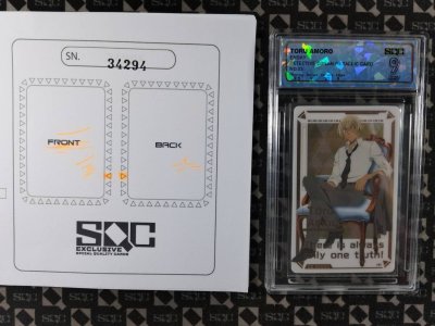 SN34294