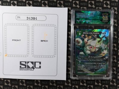 SN34304