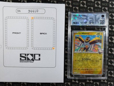 SN34409