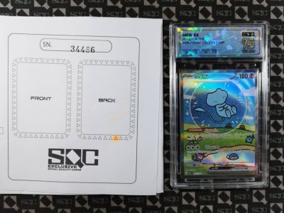 SN34486