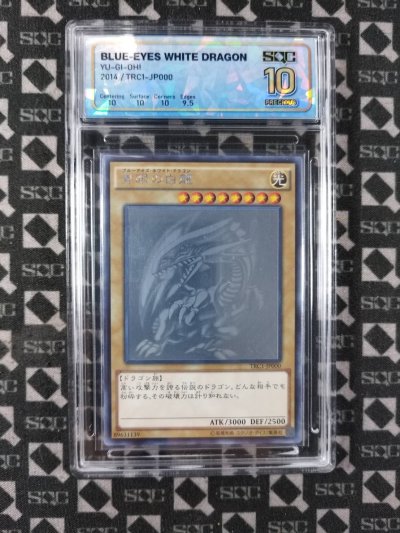 SN34491