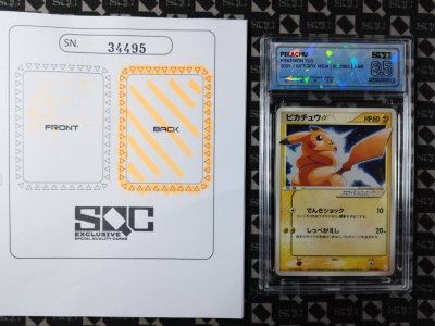 SN34495
