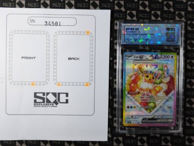 SN34501