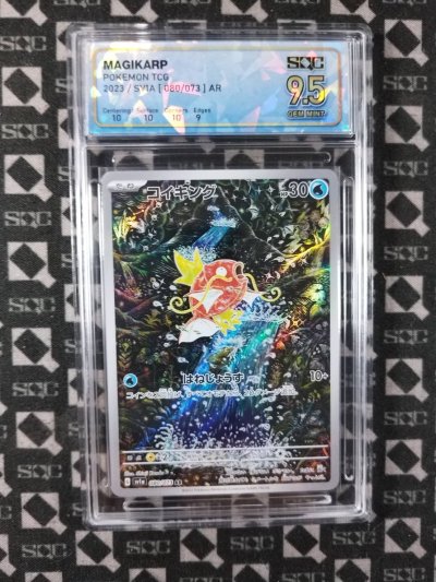 SN34513