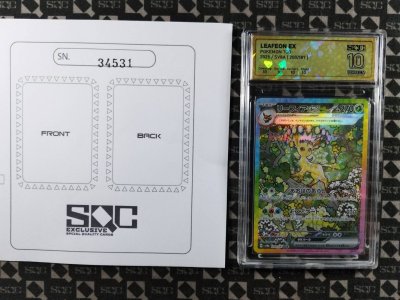 SN34531