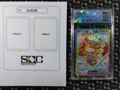 SN34606