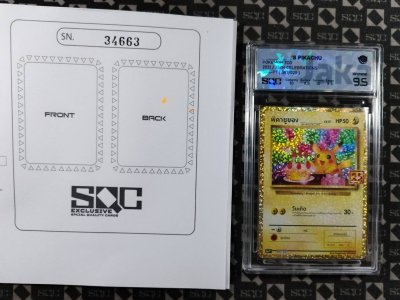 SN34663