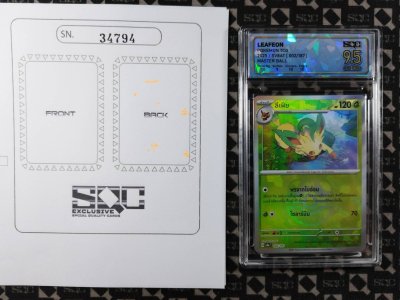 SN34794