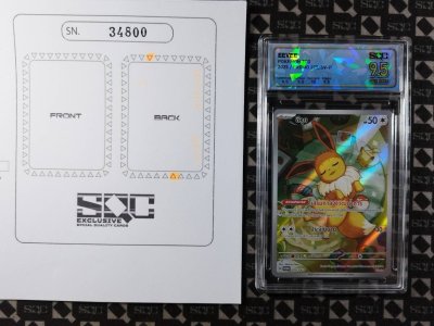 SN34800