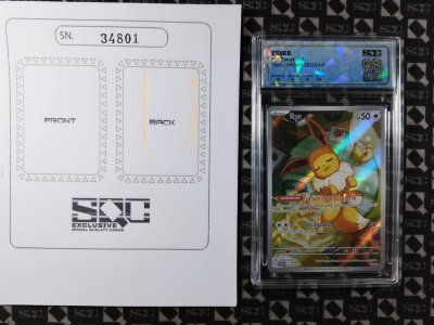 SN34801