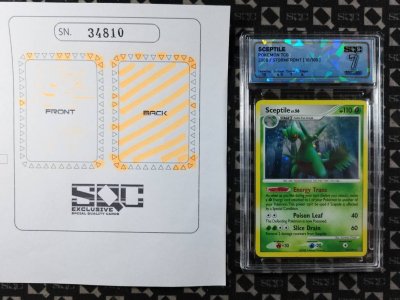 SN34810