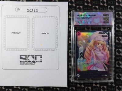 SN34813