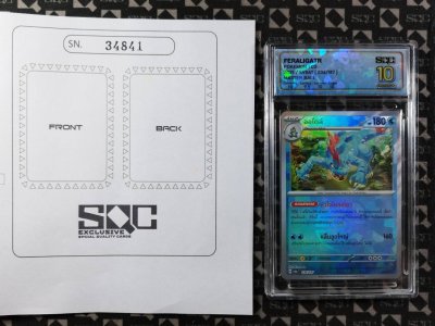 SN34841