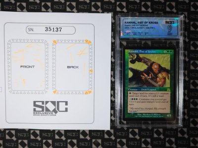 SN35137