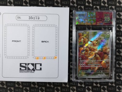 SN35173