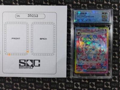 SN35253