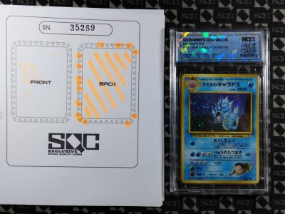 SN35289