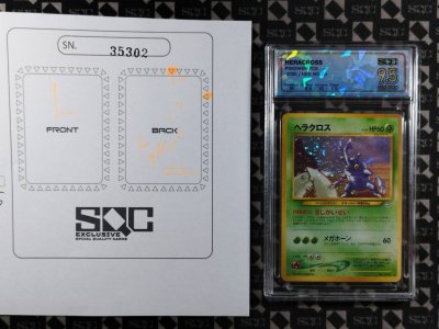 SN35302