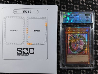 SN35310