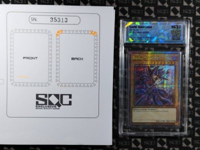 SN35313
