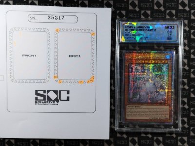 SN35317