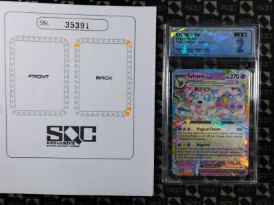 SN35391