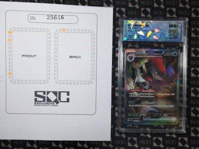 SN35646
