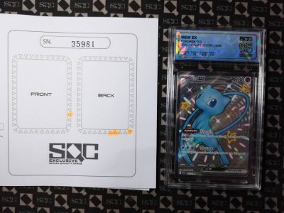 SN35981