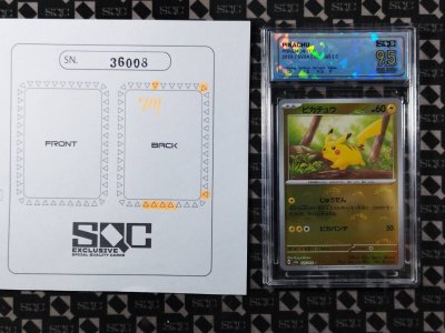 SN36008