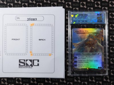SN36009