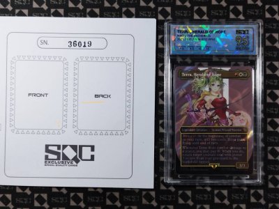 SN36019