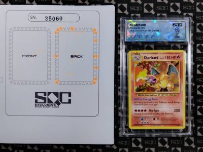 SN36060