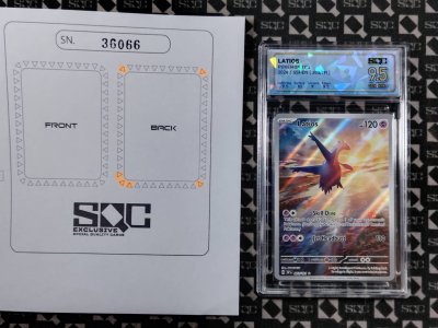 SN36066