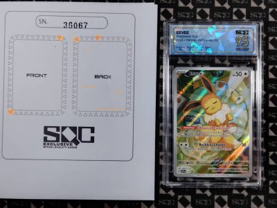 SN36067