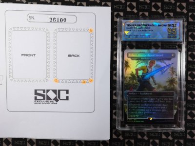 SN36100
